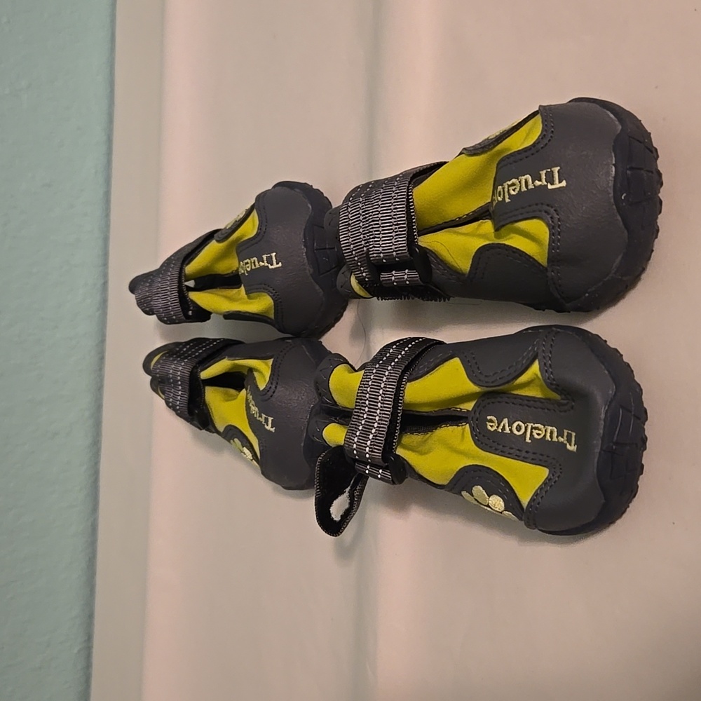 Truelove dog shoes
